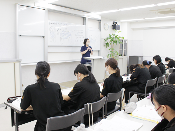 基礎知識も大切です！
